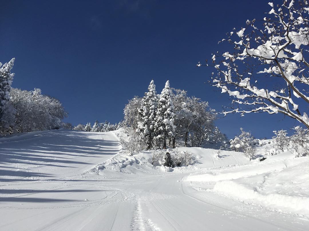 【雪がなくても楽しみたい】西日本エリアのおすすめゲレンデ ランキングTOP8【スノーボード】