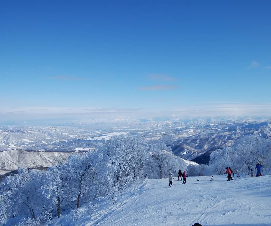 【スノーボード】完全天然雪のおすすめゲレンデランキング TOP8【関東・東北】