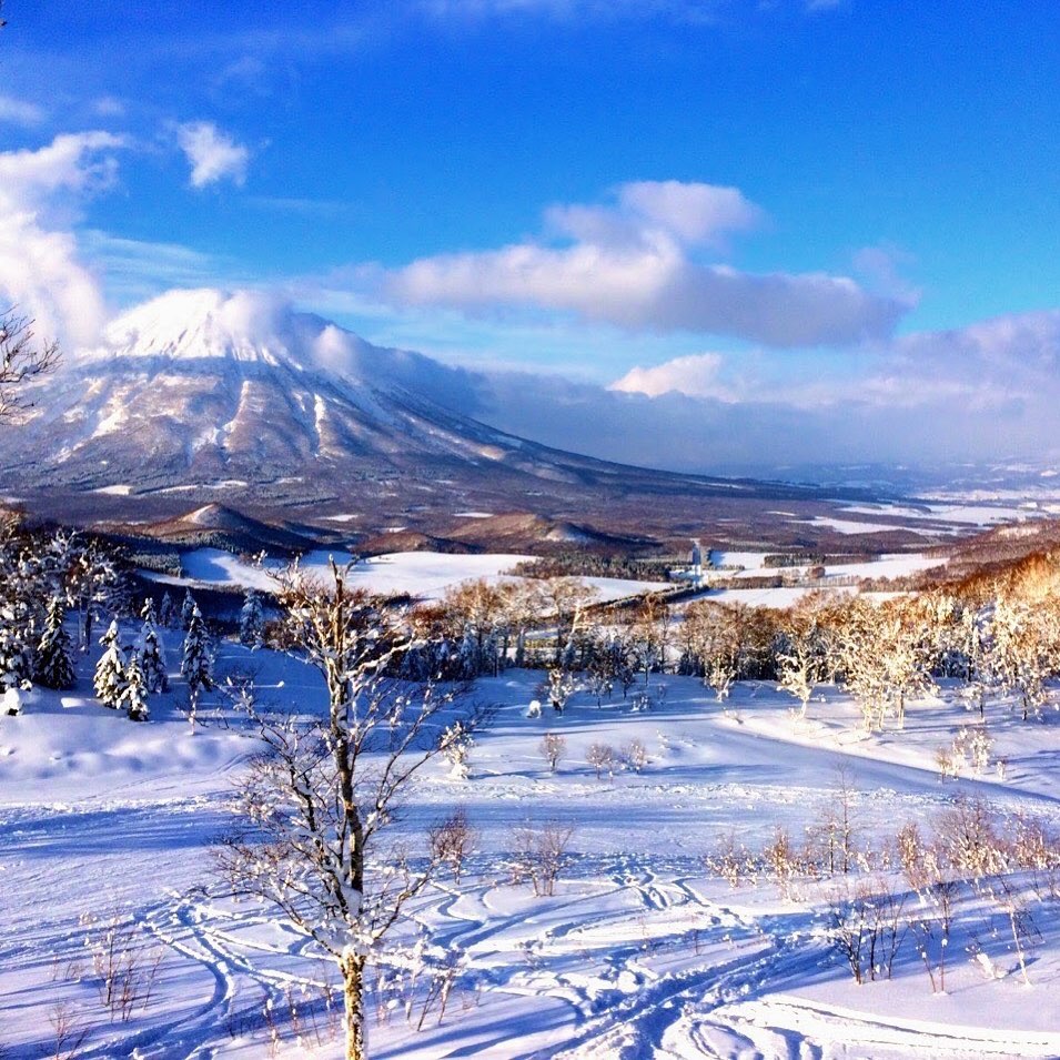 今シーズンは北海道でスノボ三昧！おすすめスキー場6選